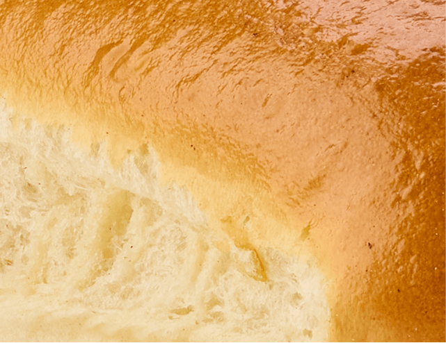 Pan de perro brillo